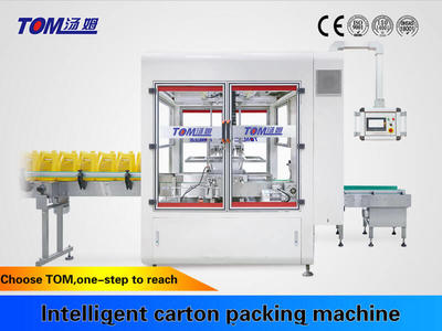 Automatic Grasping Type Carton Filling Machine Packer High Speed