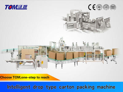 Box Filler Automatic Drop Type Carton Packer High Speed